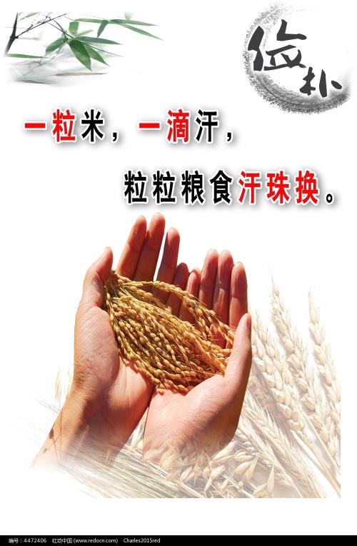 怎么购买日本星城大学文凭毕业证